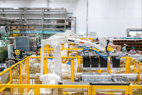 認(rèn)養(yǎng)一頭牛 以扎實(shí)養(yǎng)牛為起點(diǎn),加速跑出數(shù)字化發(fā)展與責(zé)任擔(dān)當(dāng)