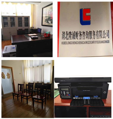 湖北隆誠財(cái)務(wù)咨詢服務(wù) 專業(yè)賦能，助力企業(yè)穩(wěn)健發(fā)展